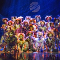 CATS The Musical