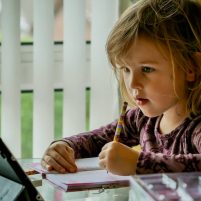 Cluey Online Learning