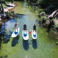 Tourism Tropical North Queensland | Mossman River Stand Up Paddle Boarding