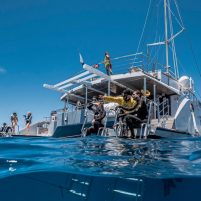 Passions of Paradise | Great Barrier Reef