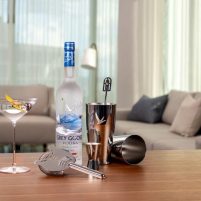 Grey Goose | Vodka Martini Recipes