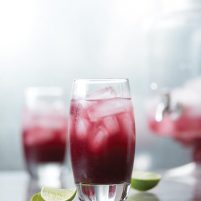 Acai Pomegranate Blueberry Agua Fresca | Vitamix