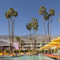 Greater Palm Springs Luxury Pools Guide