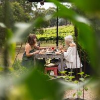 RedBalloon | McLaren Vale