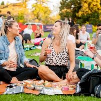 Moonlight Cinema 2024