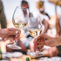 non alcoholic wines