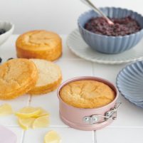 Wiltshire Blackberry and Lemon Mini Cakes