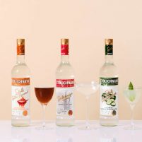 Stoli Vodka | World Martini Day