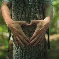 G Adventures | Trees for Days