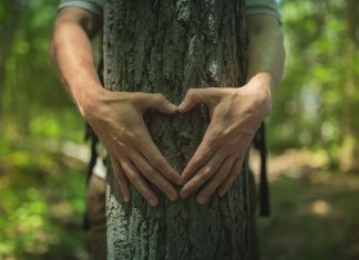 Cusco, Peru – 27 September, 2023. G Adventures has announced the launch of its new Trees for Days initiative G Adventures | Trees for Days