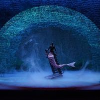 Peter and the Starcatcher