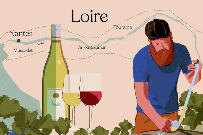 Loire Wines