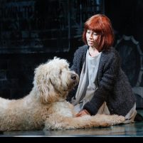 Annie the Musical
