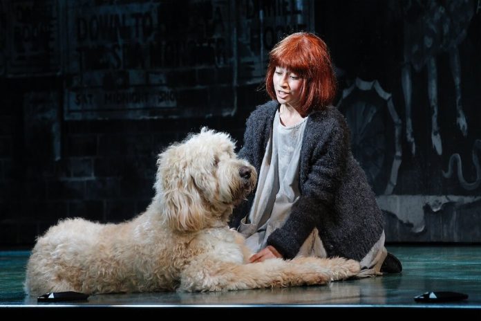 Annie the Musical