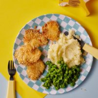 Alula Toddler+ Tummies Cookbook | Tommy Pham