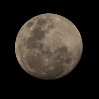 Nikon Z8 | October Super Moon