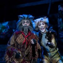 Cats the Musical
