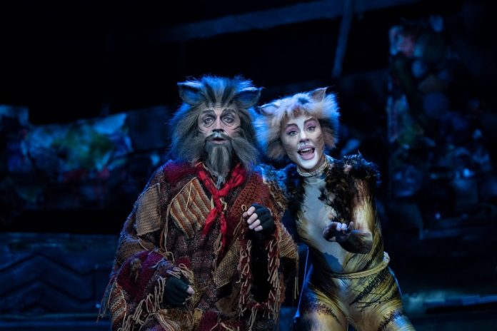 Cats the Musical