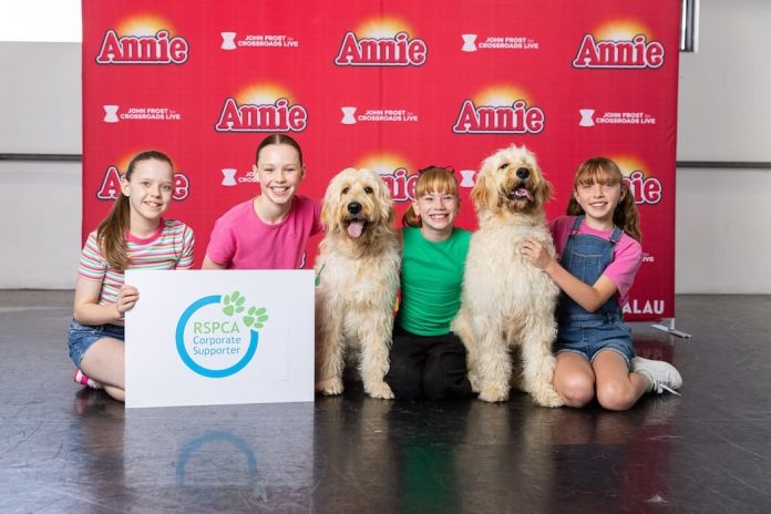 Annie the Musical