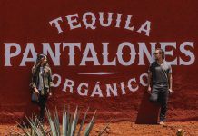 Pants off to Pantalones Organic Tequila Pantalones Organic Tequila