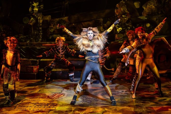 CATS the musical Adelaide