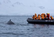 Unforgettable adventures aboard Seabourn Venture and Seabourn Pursuit Seabourn Luxury Cruises