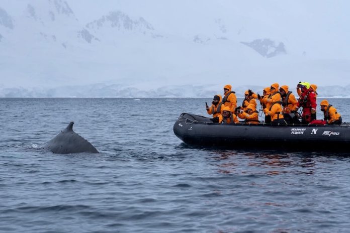 Seabourn Luxury Cruises