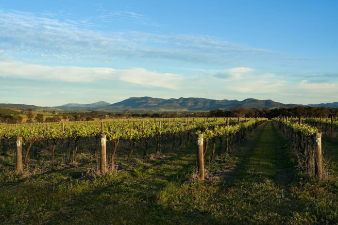 Hunter Valley