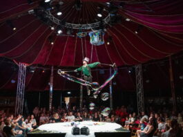 Run away to Fool’s Paradise this Sydney Fringe Festival Fool's Paradise | Sydney Fringe Festival